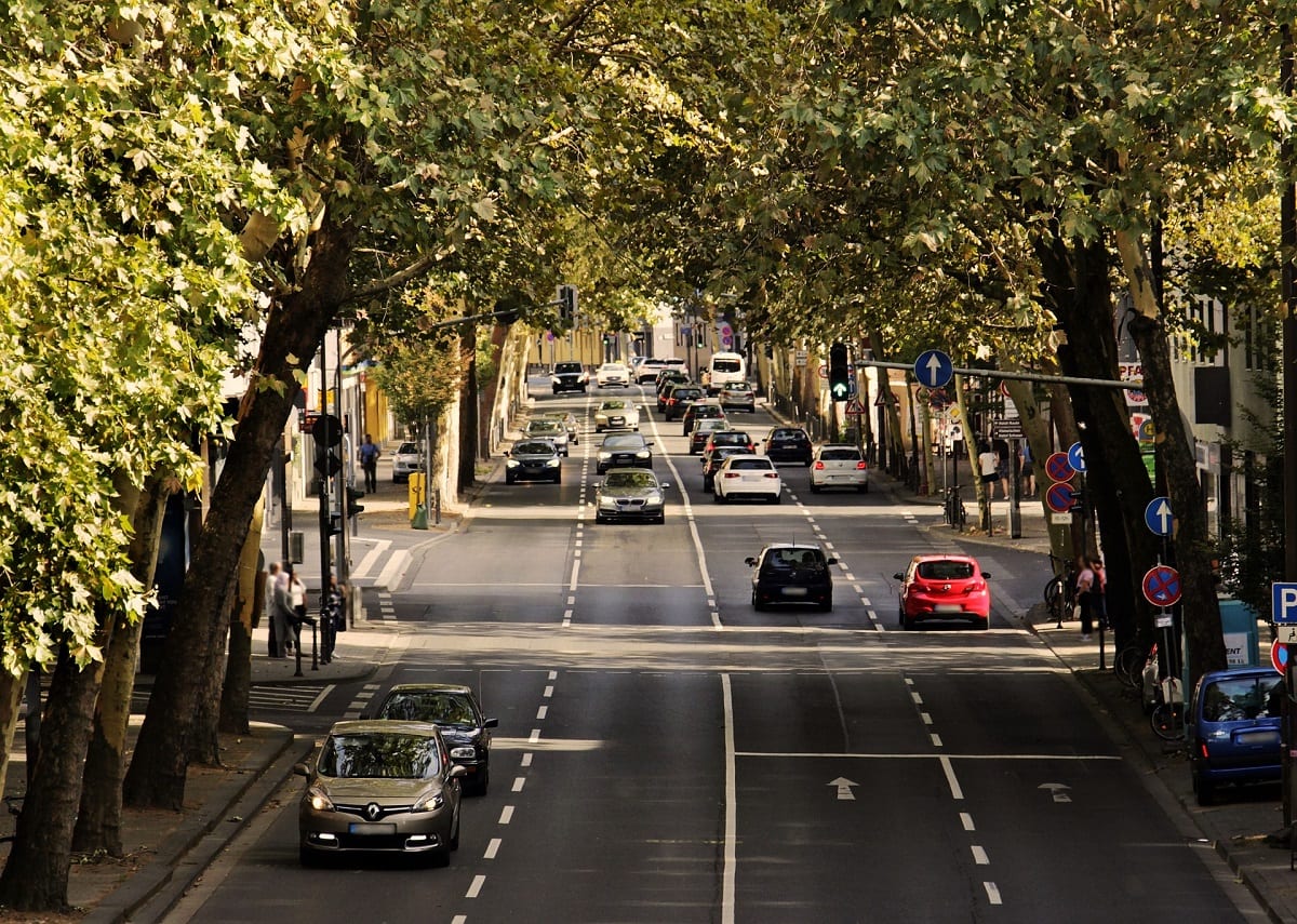 Cars on the road