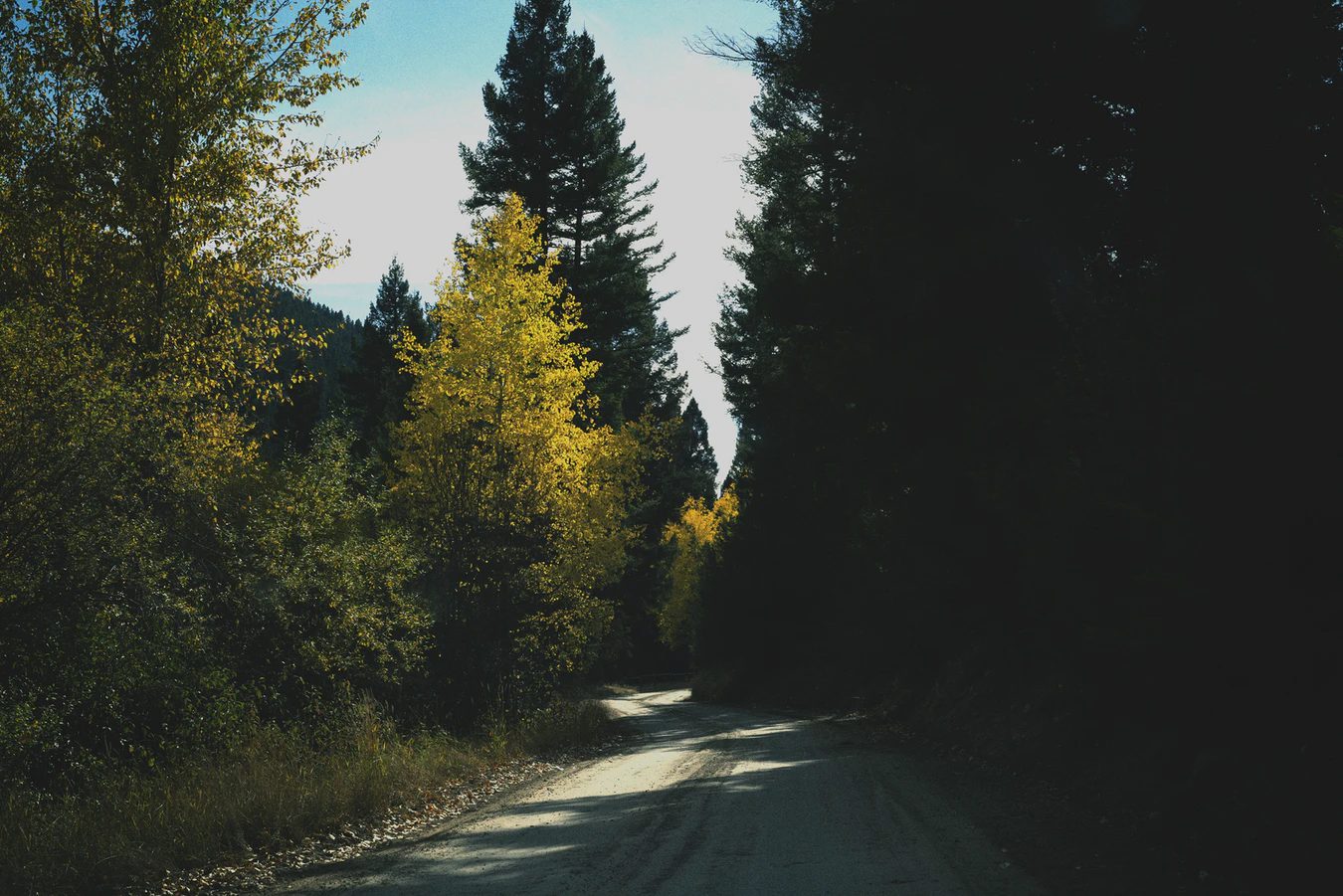A winding road