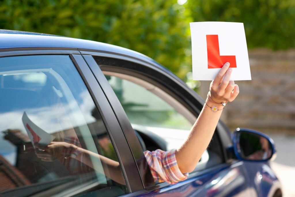 Person holding a learner plate